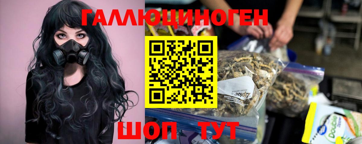 Галлюциногенные грибы Cubensis Златоуст
