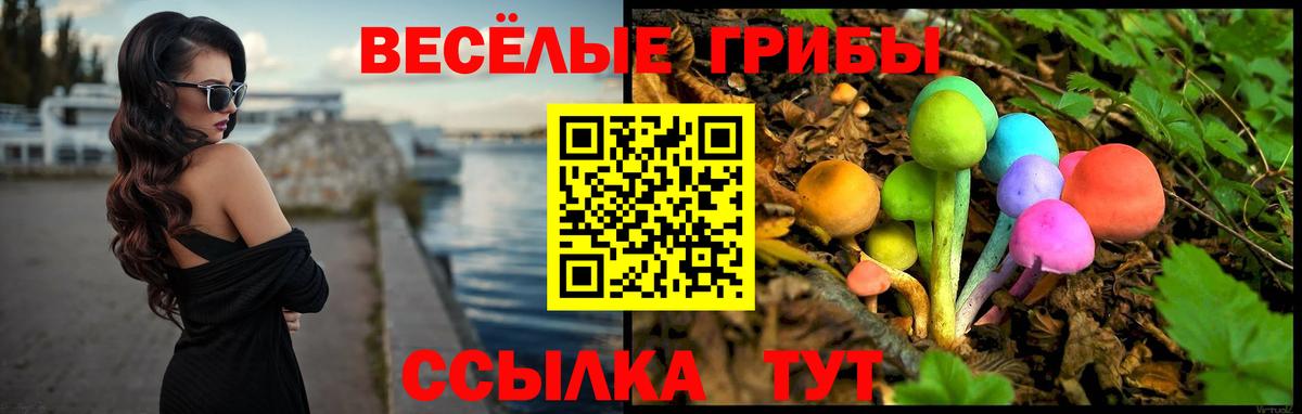 Псилоцибиновые грибы Magic Shrooms  Вход с VPN  Златоуст 